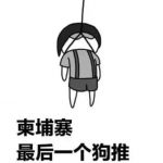 狗推们想回家了吗?空手来空手回去-免费彩金网-白嫖彩金-白菜社区